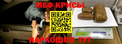 стаф Кунгур