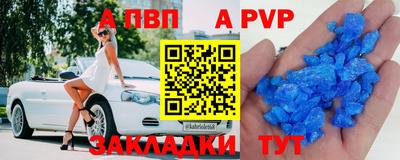 стаф Кунгур