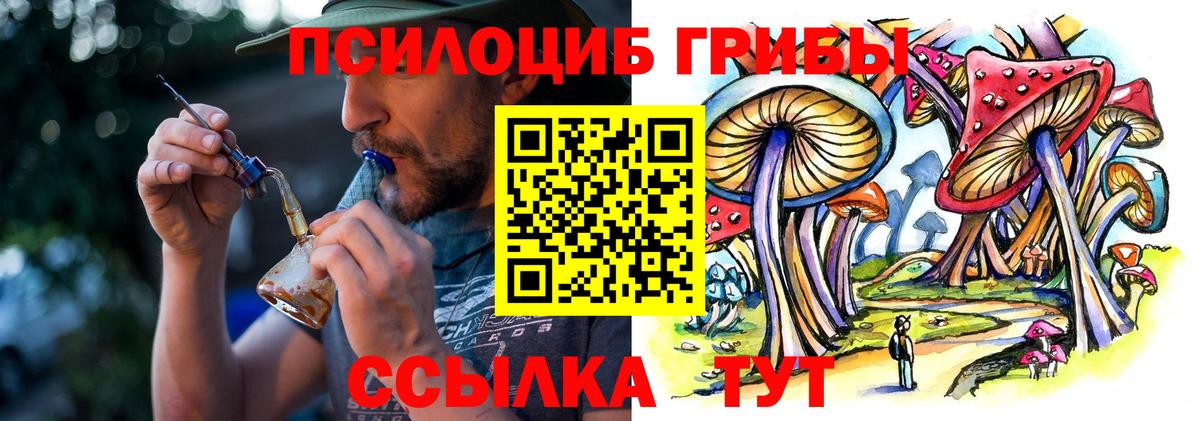 Калач-на-Дону  Галлюциногенные грибы Psilocybe  Псилоцибиновые грибы мухоморы  Вход с VPN 